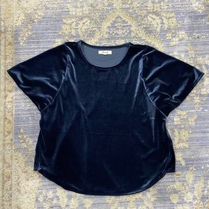 Blue velvet Madewell shirt. Size XX-small